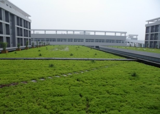 草坪式屋顶绿化