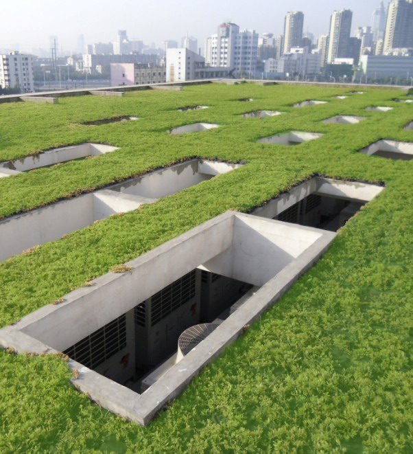 种植袋（异型）屋顶绿化