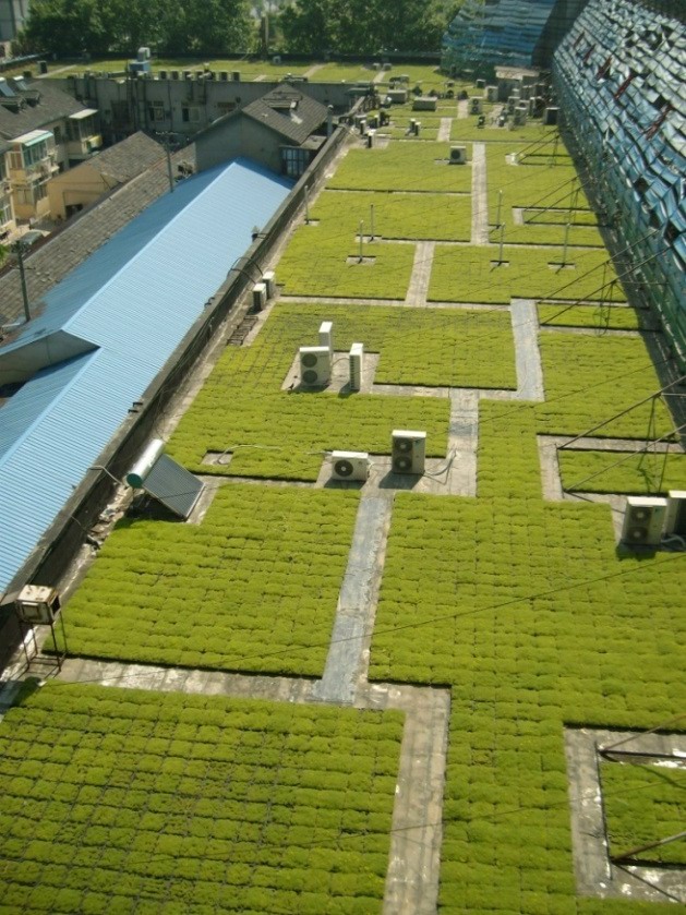 种植盆屋顶绿化