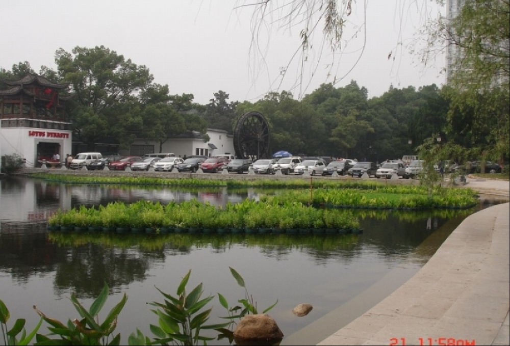 河道景观