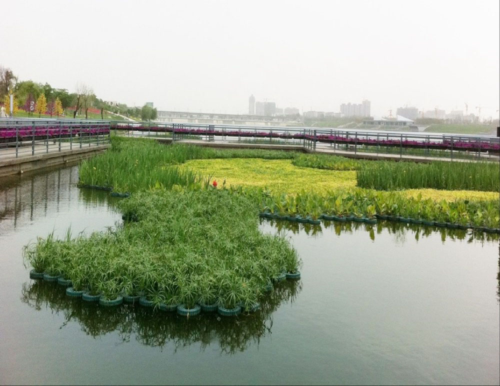 河道景观