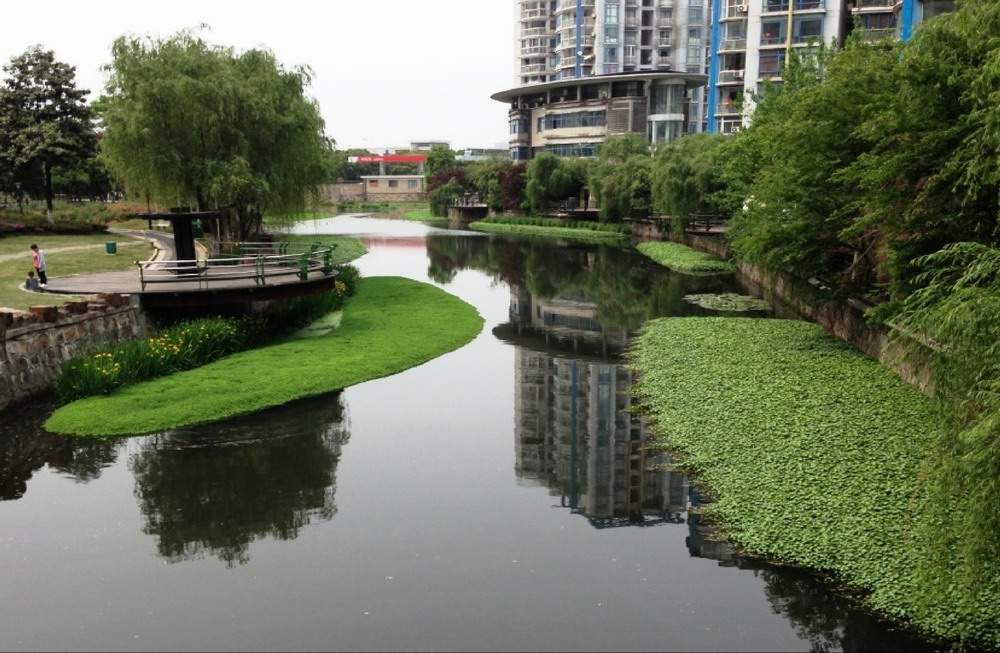 河道景观
