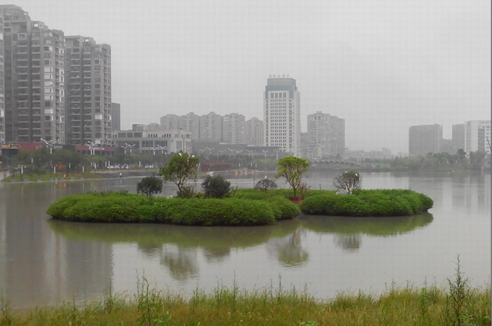 湖面景观